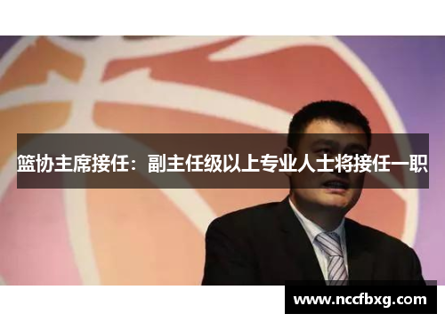篮协主席接任：副主任级以上专业人士将接任一职