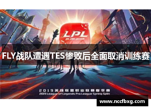 FLY战队遭遇TES惨败后全面取消训练赛
